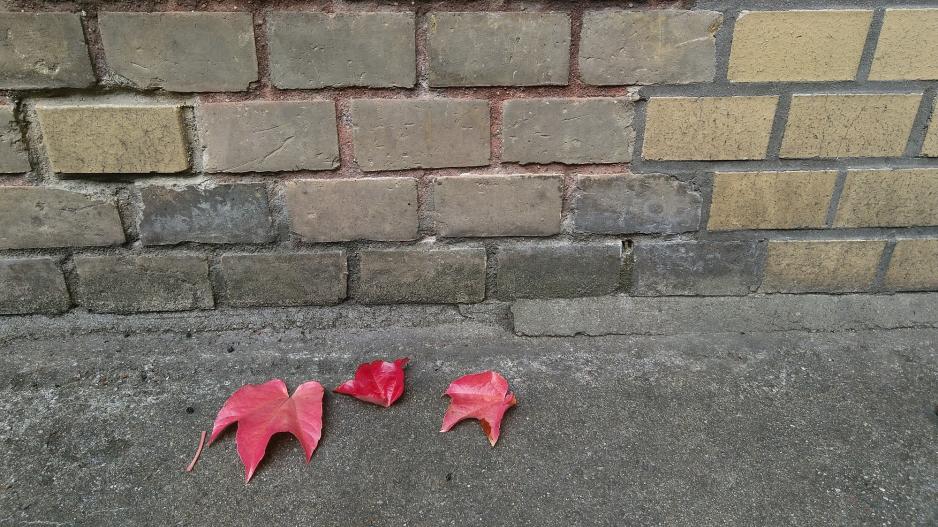 Klassismus Vor einer Backsteinmauer liegen drei rote Herbstblätter