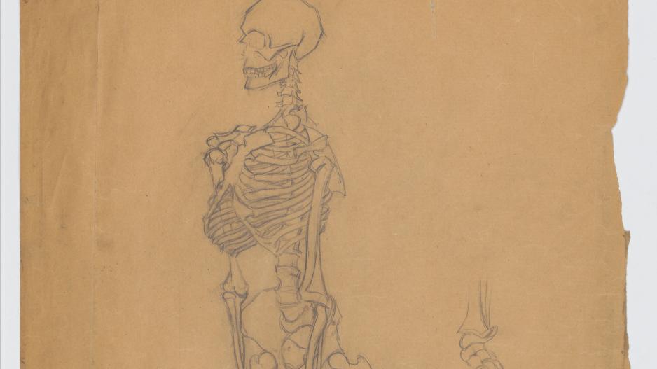 Menschliches Skelett, anatomische Studie Skizze eines menschlichen Skellets