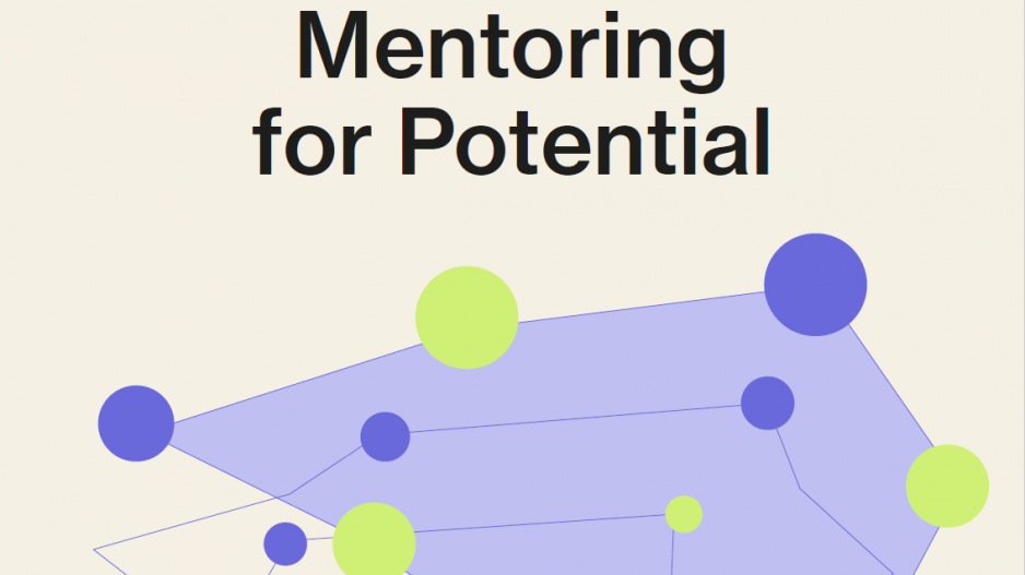 Mentoring for Potential Dekoratives Element